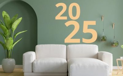 Blog Publique 2 Le LMNP en 2025